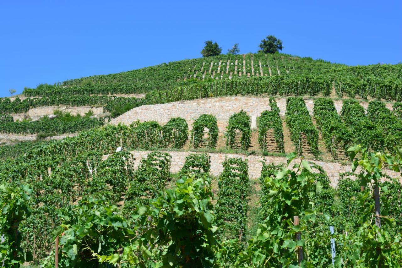 Lamaisondemamere Tournon-sur-Rhone Exterior photo